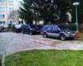 Photo Number 5