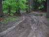 Photo Number 2