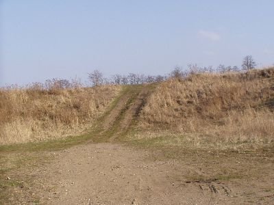 carodka07.jpg
