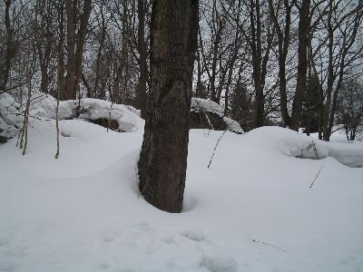 sraz48.jpg