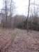 petrovice201_small.jpg