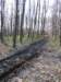 petrovice203_small.jpg