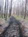 petrovice204_small.jpg