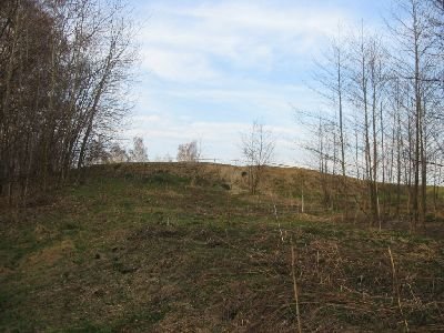 petrovice212.jpg