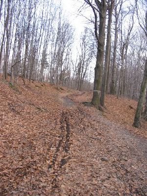 petrovice215.jpg