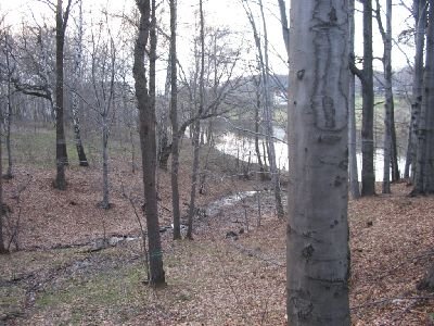petrovice216.jpg