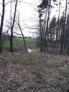 petrovice217.jpg