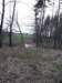 petrovice217_small.jpg