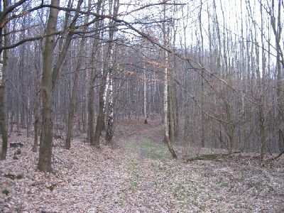petrovice220.jpg