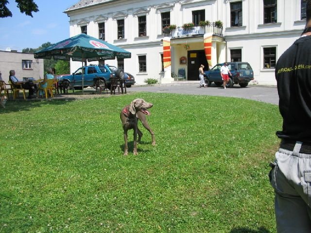 petrovice218.jpg