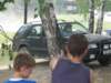 petrovice270_small.jpg