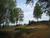 petroviced01_small.jpg