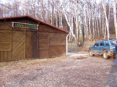 petroviced08.jpg
