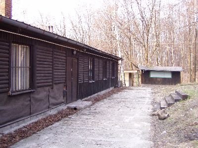 petroviced11.jpg