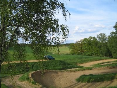 petroviced13.jpg