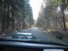 Photo Number 9