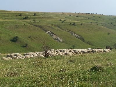fotopavel083.jpg