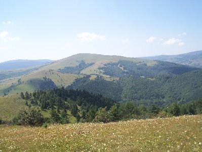 fotopavel135.jpg