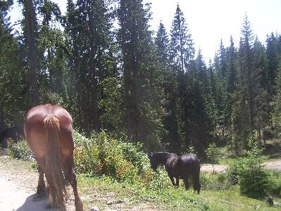 fotopavel204.jpg