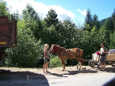 fotopavel240.jpg