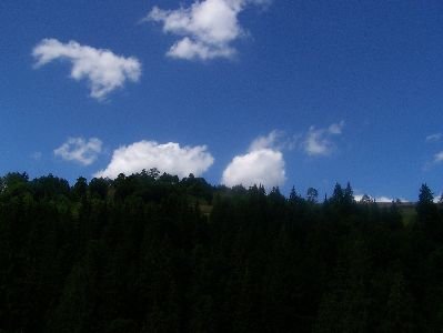 fotopavel311.jpg