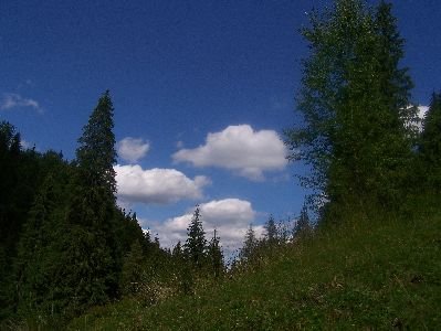 fotopavel313.jpg