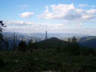 fotopavel328.jpg