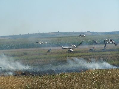 fotopavel424.jpg