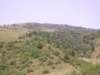 frontera054_small.jpg