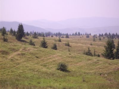 frontera059.jpg