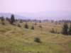 frontera059_small.jpg