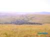 frontera069_small.jpg