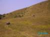 frontera093_small.jpg