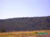 frontera147_small.jpg