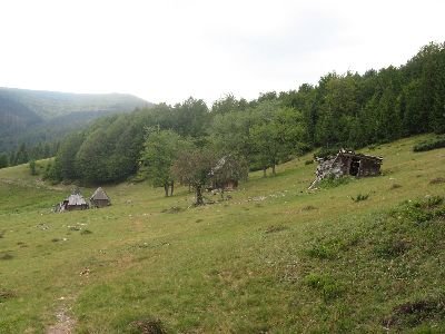 kucipremci235.jpg