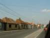 pt019_small.jpg