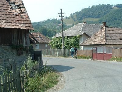 pt045.jpg
