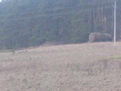 horazdovice009.jpg