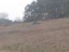 horazdovice055_small.jpg