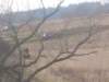 horazdovice056_small.jpg