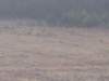 horazdovice064_small.jpg