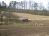 horazdovice069_small.jpg
