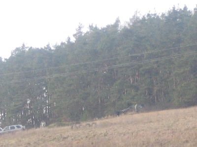 horazdovice076.jpg