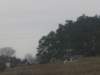 horazdovice077_small.jpg