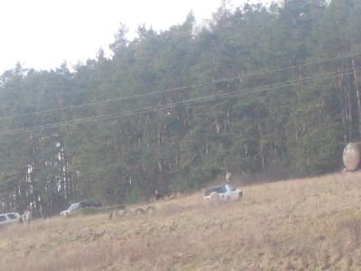 horazdovice079.jpg