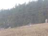 horazdovice079_small.jpg