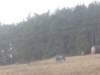 horazdovice086_small.jpg