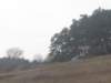 horazdovice089_small.jpg