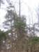 horazdovice119_small.jpg