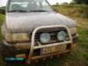 petrovice100_small.jpg